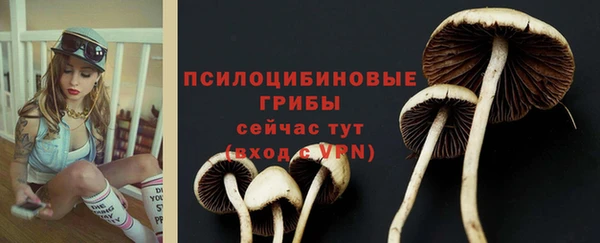 мяу мяу мука Арсеньев