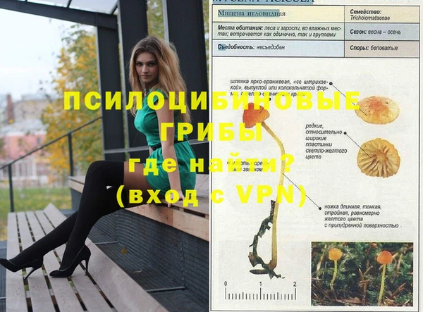 мяу мяу мука Арсеньев