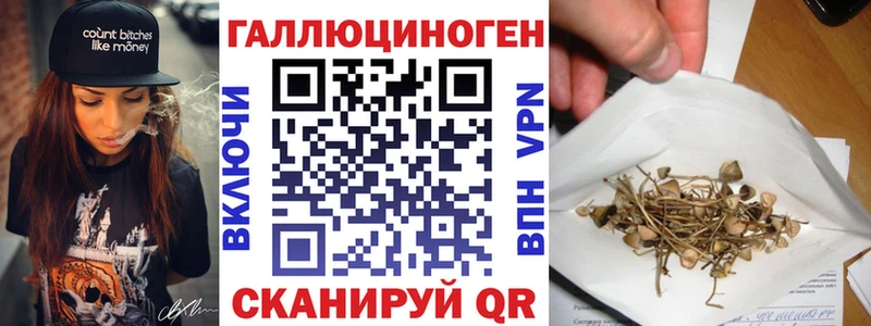 hydra вход Белая Холуница Галлюциногенные грибы Psilocybe